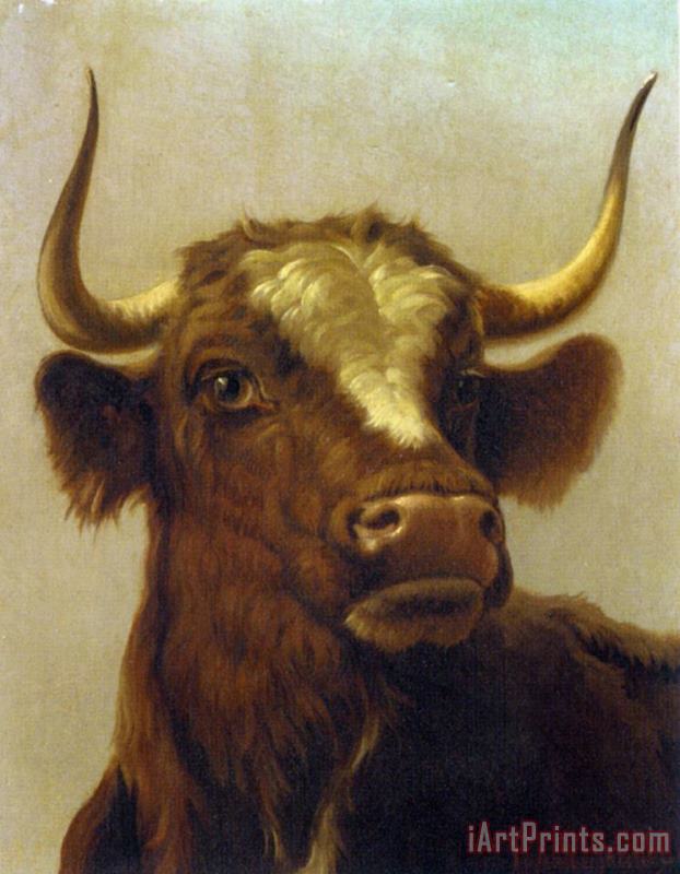 Rosa Bonheur Head of a Bull Art Print