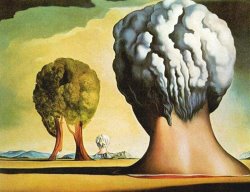 Salvador Dali Die Drei Sphinx Von Bikini