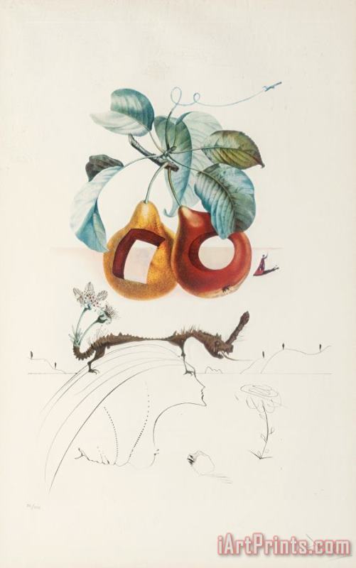 Salvador Dali Fruits Trouees (fruit with Holes), From Les Fruits Art Print