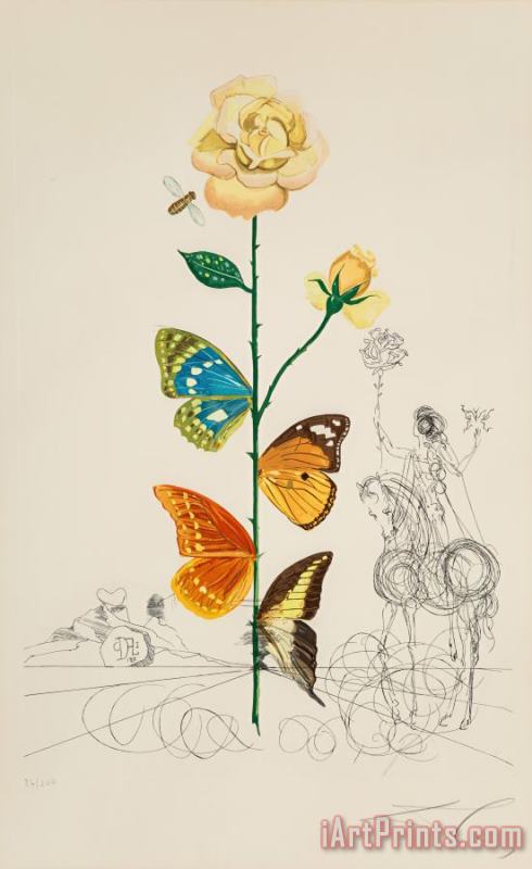 Rosa Papillo, From Flora Dallinae, 1968 painting - Salvador Dali Rosa Papillo, From Flora Dallinae, 1968 Art Print