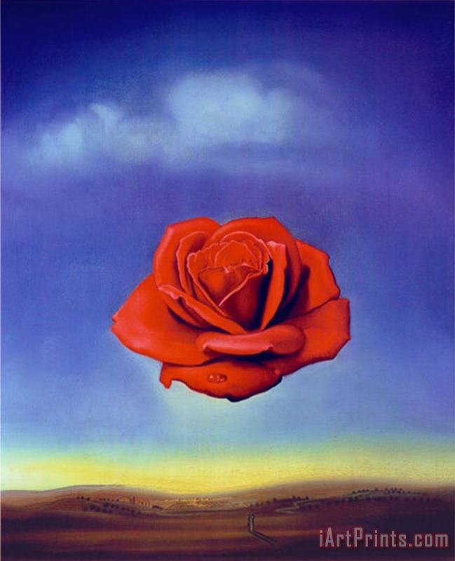 Rose Medidative C 1958 painting - Salvador Dali Rose Medidative C 1958 Art Print