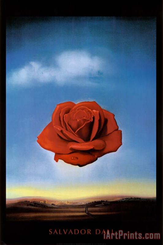Rose Meditative C 1958 painting - Salvador Dali Rose Meditative C 1958 Art Print
