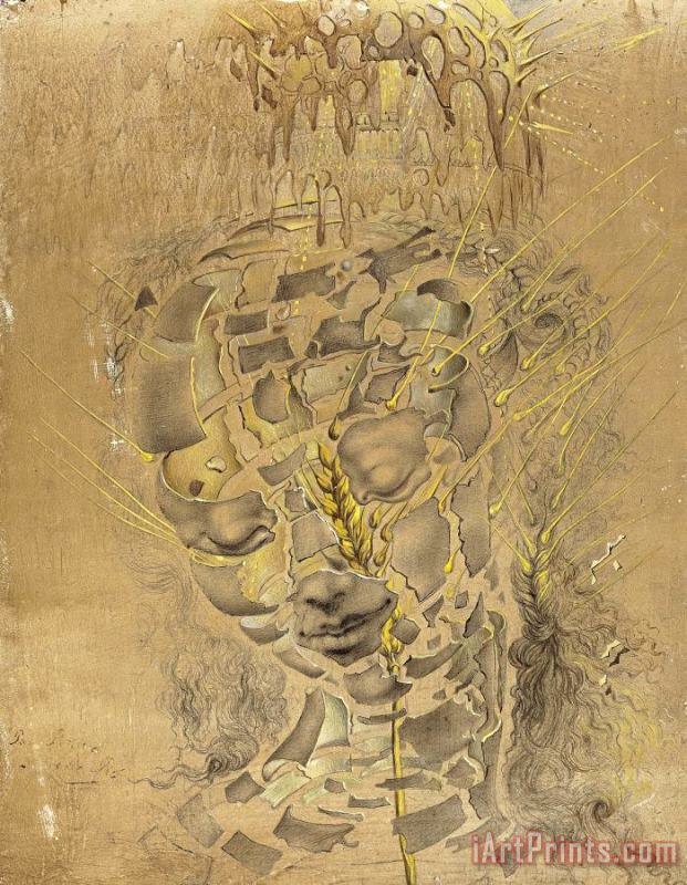 Study for The Head of The Virgin painting - Salvador Dali Study for The Head of The Virgin Art Print