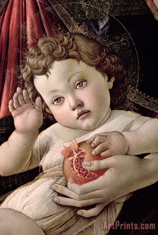 Detail of the Christ Child from the Madonna of the Pomegranate painting - Sandro Botticelli Detail of the Christ Child from the Madonna of the Pomegranate Art Print
