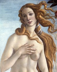 Sandro Botticelli The Birth of Venus painting