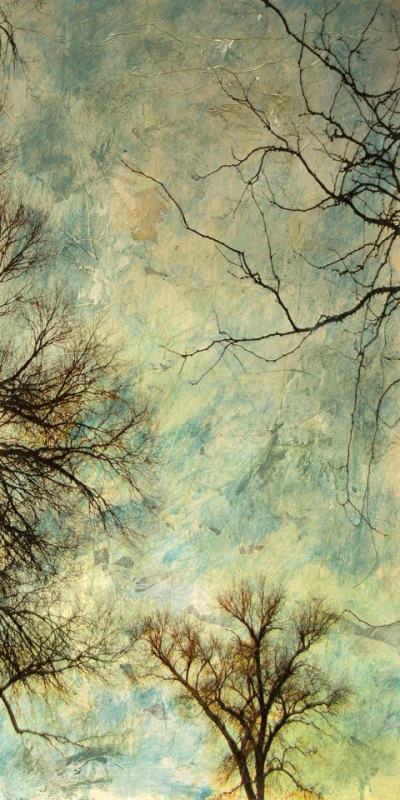 Abstract Trees V painting - Sara Abbott Abstract Trees V Art Print