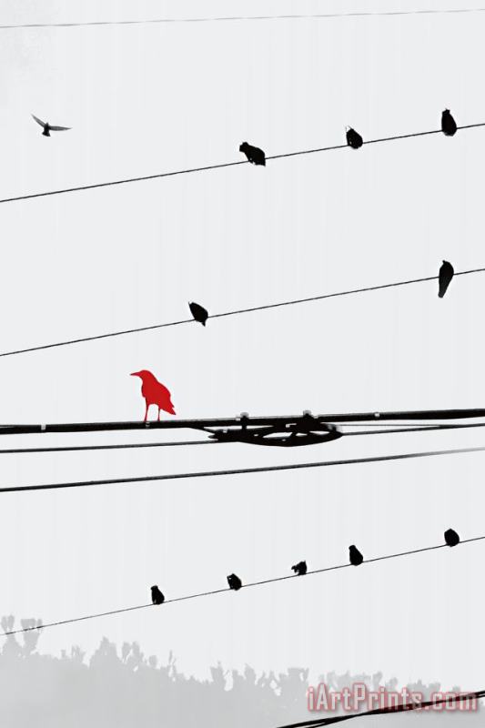 Sara Abbott Birds on a Wire I Art Print