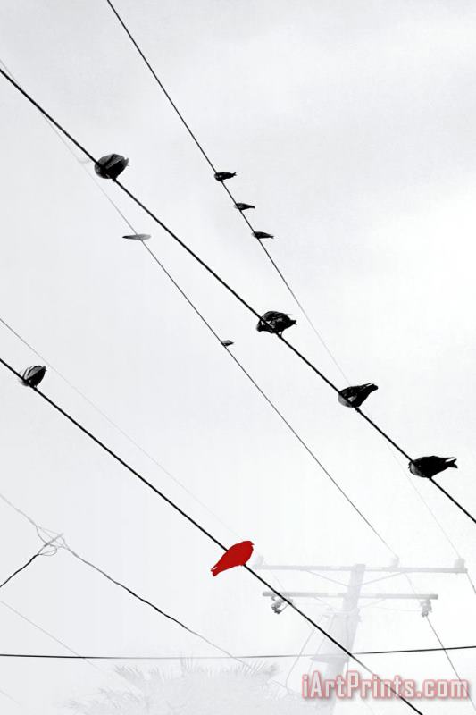Sara Abbott Birds on a Wire II Art Painting