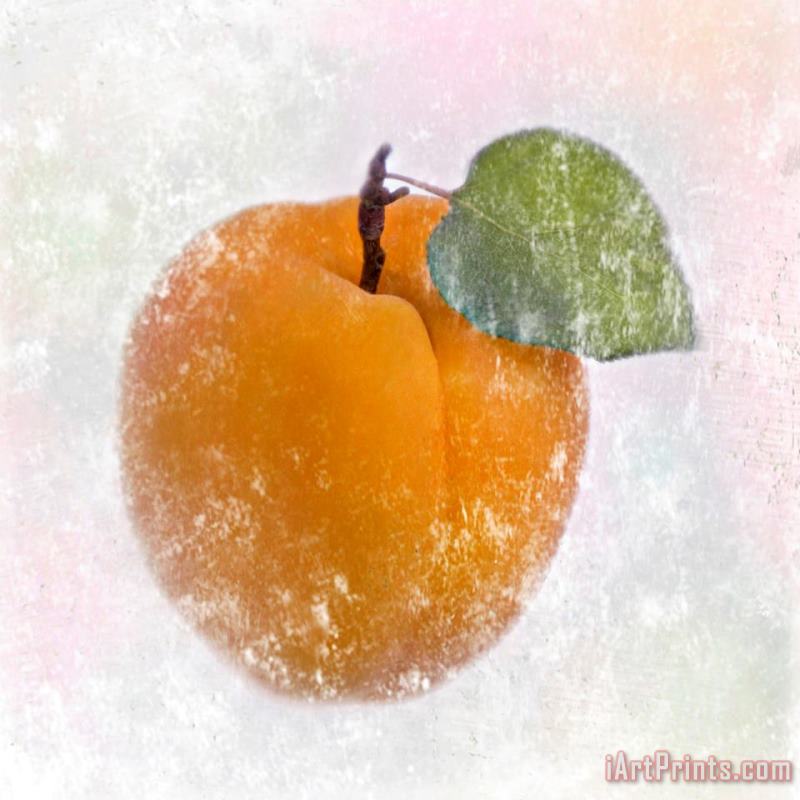 Apricot painting - Sia Aryai Apricot Art Print
