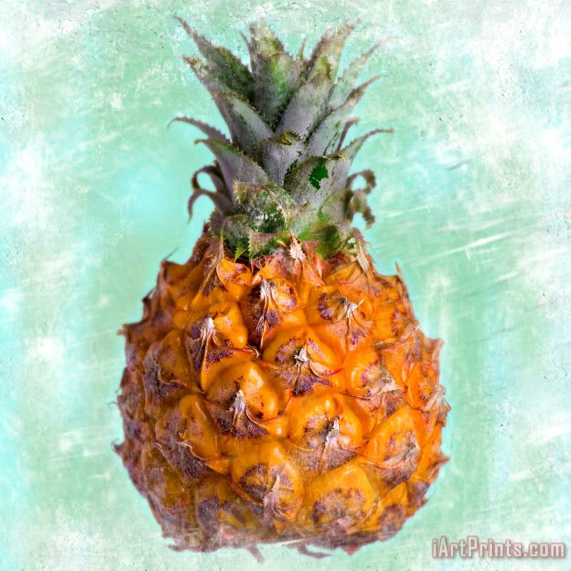 Sia Aryai Pineapple Queen Art Painting