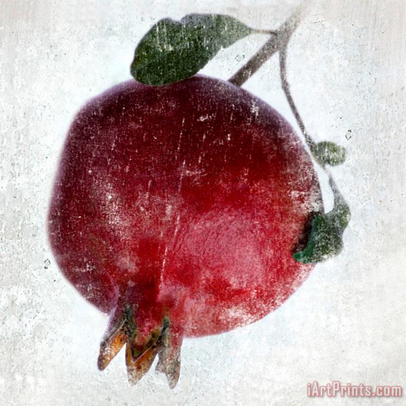 Pomegranate painting - Sia Aryai Pomegranate Art Print