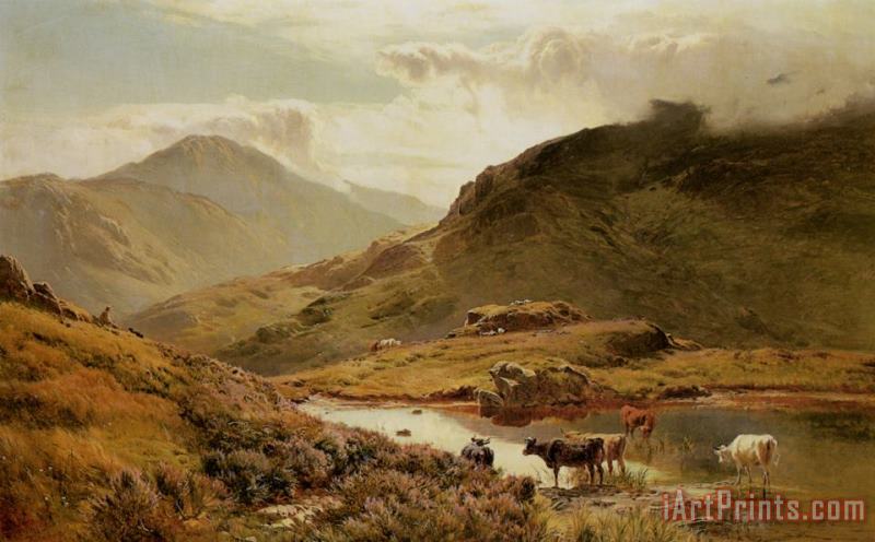 Cattle in a Highland Landscape painting - Sidney Richard Percy Cattle in a Highland Landscape Art Print