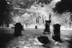 Simon Marsden Melrose Abbey