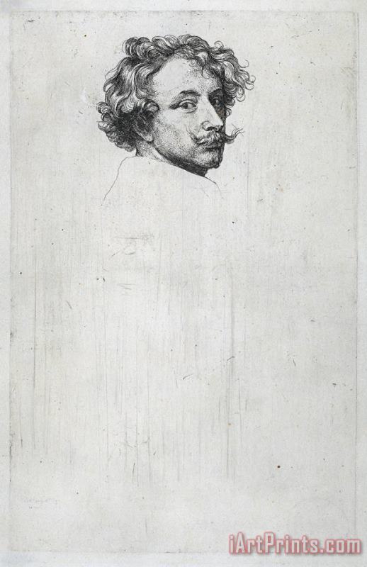 Self Portrait painting - Sir Antony Van Dyck Self Portrait Art Print