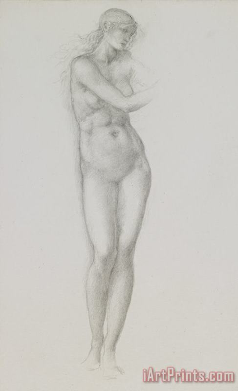Nude Female Figure Study For Venus From The Pygmalion Series painting - Sir Edward Coley Burne-Jones Nude Female Figure Study For Venus From The Pygmalion Series Art Print