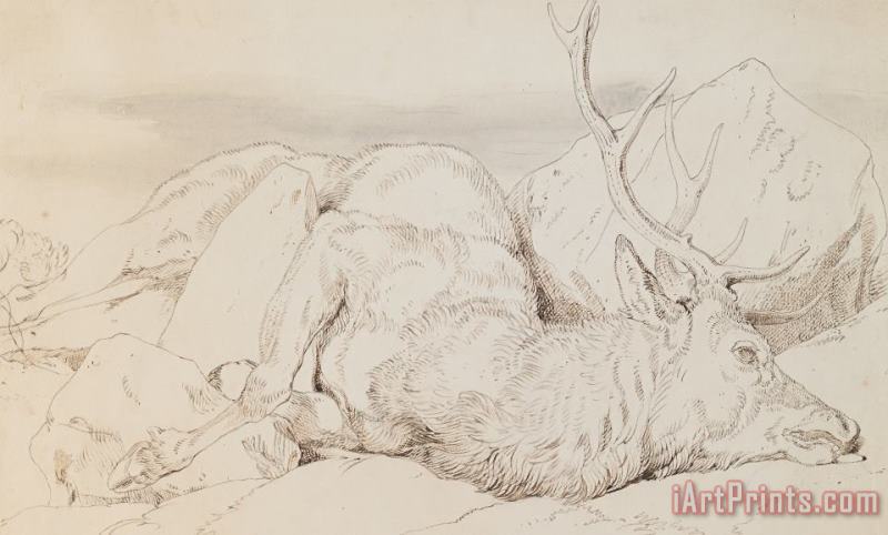 Sir Edwin Landseer A Dead Stag Art Print