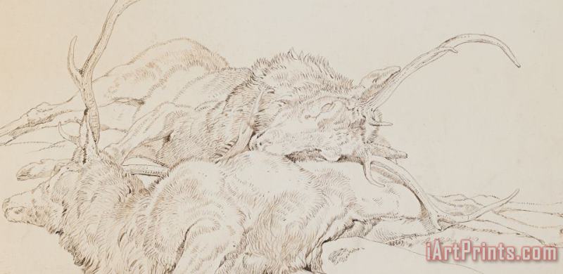 Sir Edwin Landseer Two Dead Stags Art Print