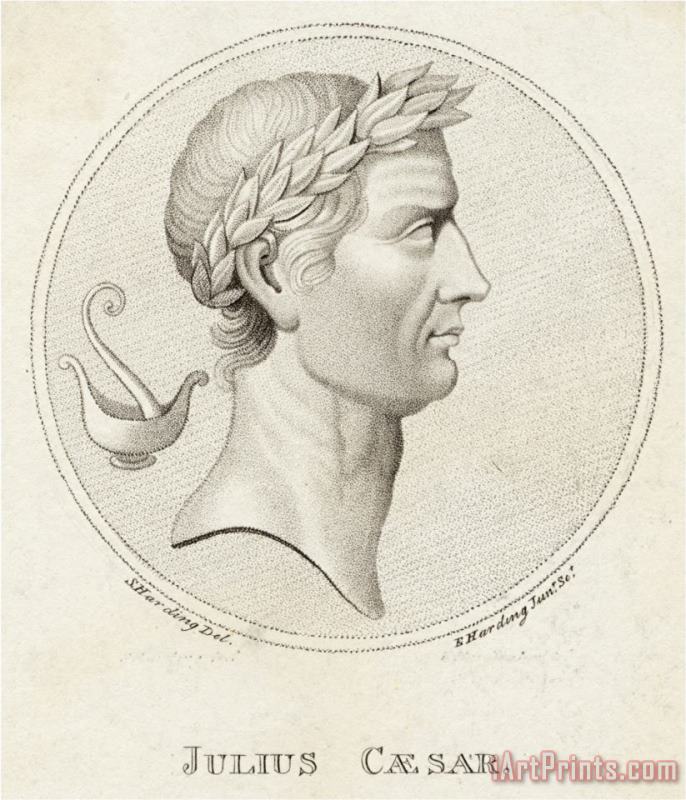 Gaius Julius Caesar Roman Emperor painting - Sophie Harding Gaius Julius Caesar Roman Emperor Art Print
