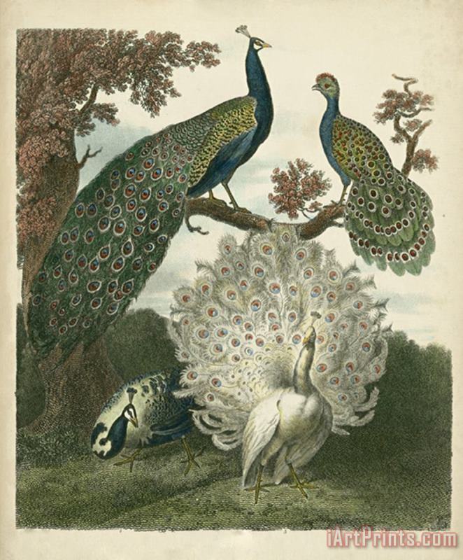 Peacock Gathering painting - Sydenham Teast Edwards Peacock Gathering Art Print