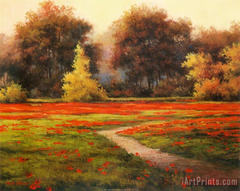 Poppy Meadows I painting - T. C. Chiu Poppy Meadows I Art Print