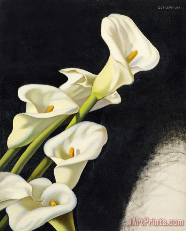Arums Etude, 1938 painting - tamara de lempicka Arums Etude, 1938 Art Print