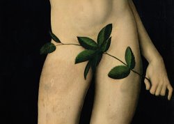 The Elder Lucas Cranach Adam painting