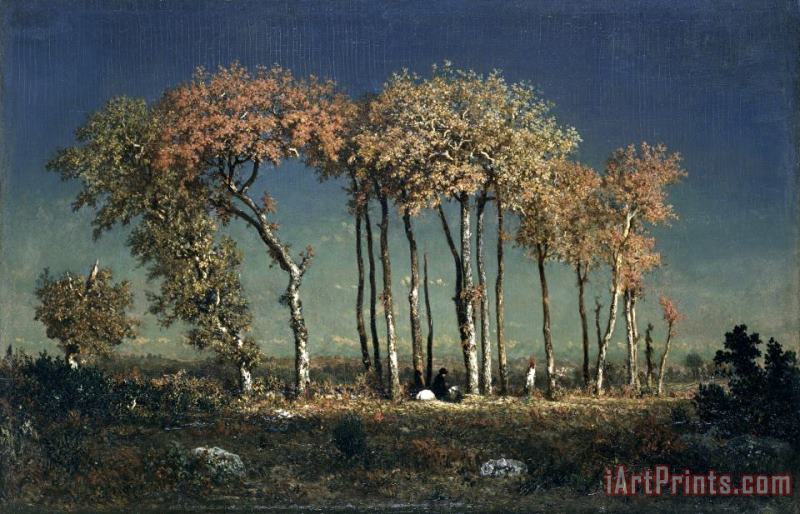 Under The Birches, Evening painting - Theodore Rousseau Under The Birches, Evening Art Print