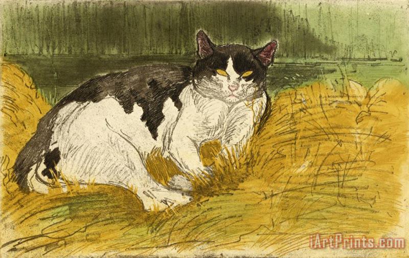 Theophile Alexandre Steinlen Vieux Chat Noir Et Blanc Dans L'herbe Art Painting