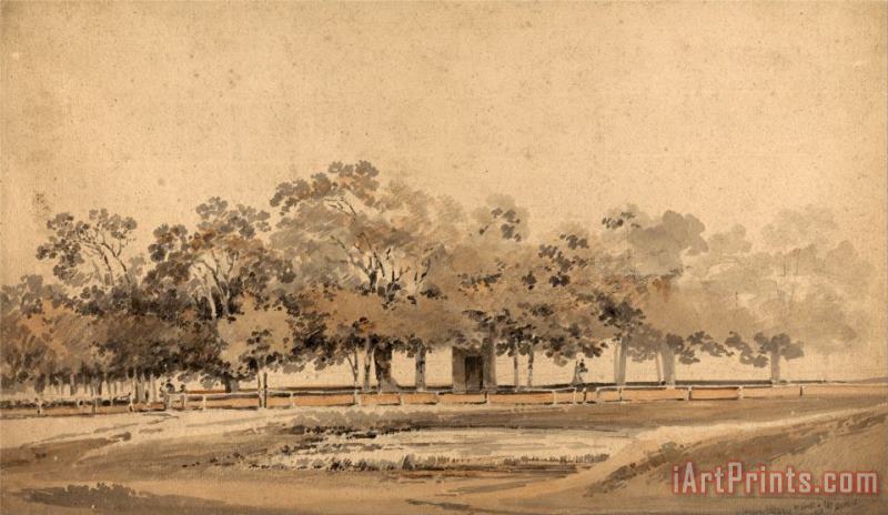 Trees in Hyde Park, London painting - Thomas Girtin Trees in Hyde Park, London Art Print
