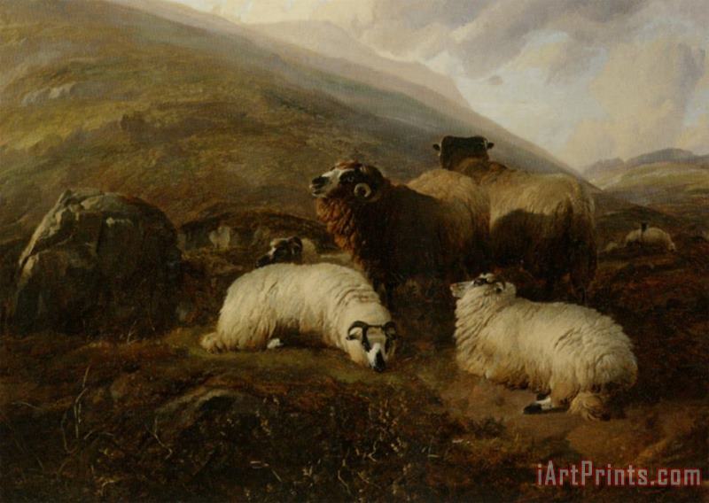 Thomas Sidney Cooper Sheep in The Highlands Art Print