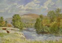 Tim Scott Bolton River Spey - Kinrara