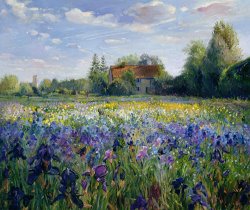 Timothy Easton Evening at the Iris Field