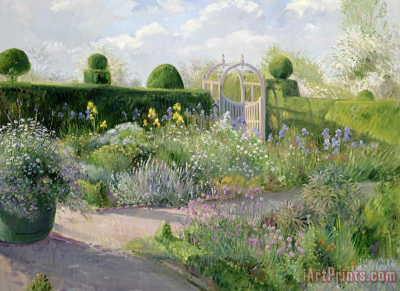 Irises in the Herb Garden painting - Timothy Easton Irises in the Herb Garden Art Print