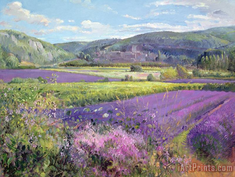 Lavender Fields in Old Provence painting - Timothy Easton Lavender Fields in Old Provence Art Print
