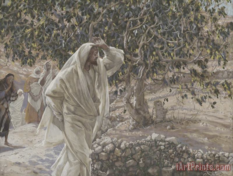 The Accursed Fig Tree painting - Tissot The Accursed Fig Tree Art Print