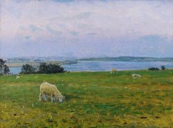 Viggo Johansen Sheep Grazing