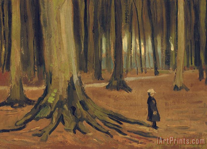 A Girl in a Wood painting - Vincent van Gogh A Girl in a Wood Art Print