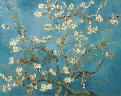 Vincent van Gogh Almond Blossoms