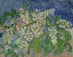 Vincent Van Gogh Blossoming Chestnut Branches painting