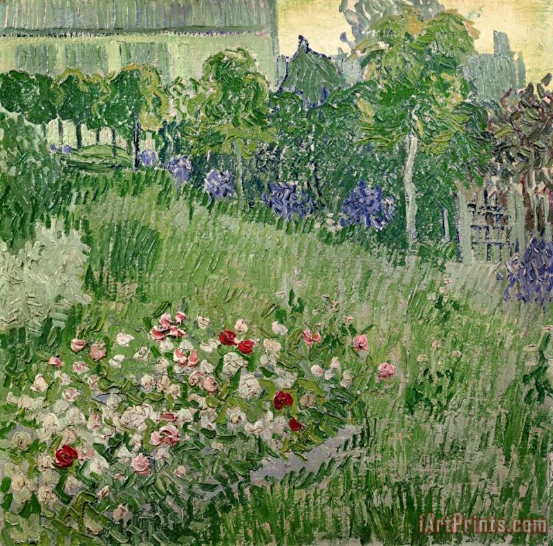Vincent Van Gogh Daubigny's Garden Art Painting