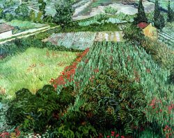 Vincent Van Gogh Field with Poppies painting