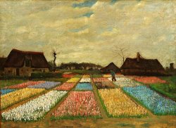 Vincent van Gogh Flower Beds in Holland painting