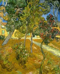 Vincent van Gogh Garden of Saint Paul's Hospital painting