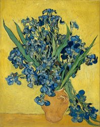 Vincent van Gogh Irises painting