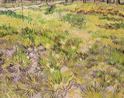 Vincent van Gogh Meadow With Butterflies painting