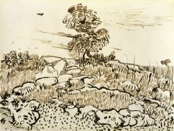 Vincent van Gogh Rocky Ground at Montmajour painting