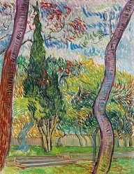 Vincent van Gogh The Garden Of St Pauls Hospital painting
