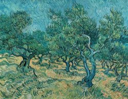 Vincent van Gogh The Olive Grove painting