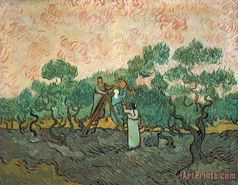 The Olive Pickers painting - Vincent van Gogh The Olive Pickers Art Print