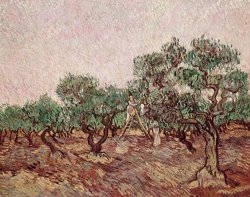 Vincent van Gogh The Olive Pickers painting